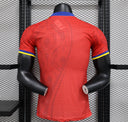 Maillots Espagne