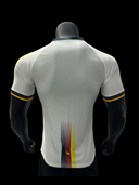 Maillots joueurs Cameroun