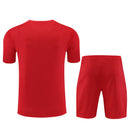 Training short flamengo